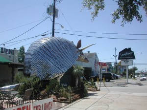 Texas-size Armadillo