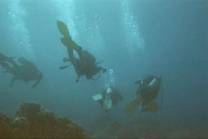 19447_divers at Poipu
