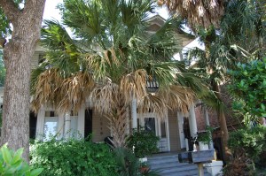 Grant Street house in the Montrose.